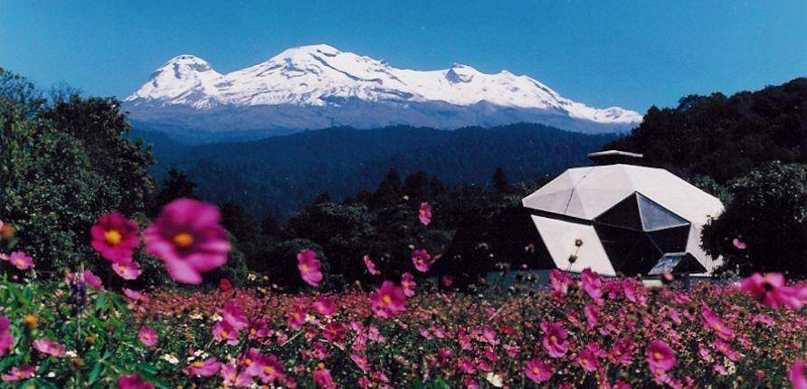 78244264_419316838764206_5999920444650553344_n(1)