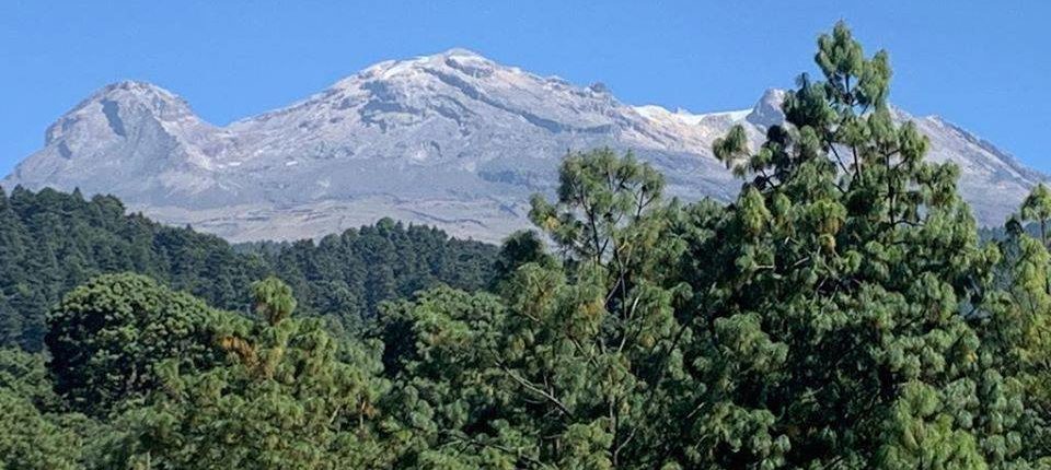 82859765_539135840287722_7424691105393803264_n