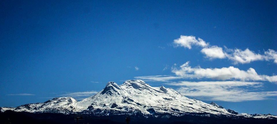 83403531_1453141268195130_9049932856486264832_n